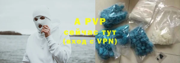 индика Алексеевка
