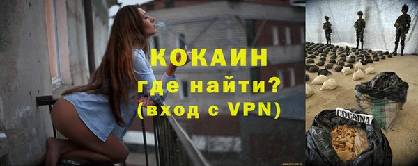 индика Алексеевка