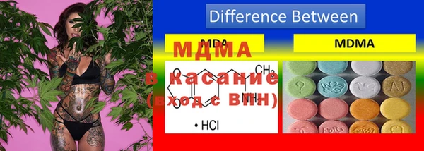 индика Алексеевка