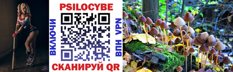 Псилоцибиновые грибы прущие грибы  OMG рабочий сайт  Ярцево  купить закладку 